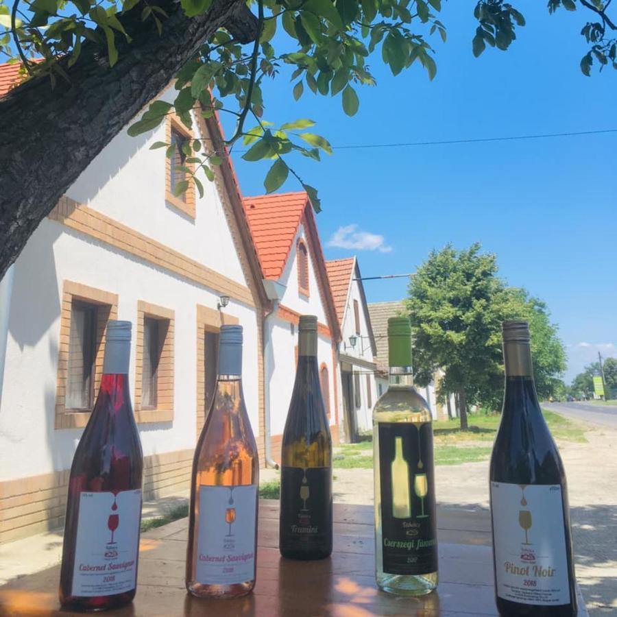 Takács Pince apartman Hajos Esterno foto